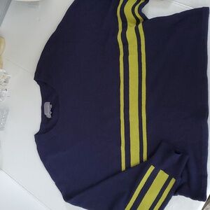 Anthropologie Batwing Sweater Size L Navy Blue Greenish Yellow Stripes LS